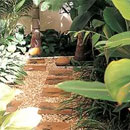 Your Guide on Easy Home Gardening